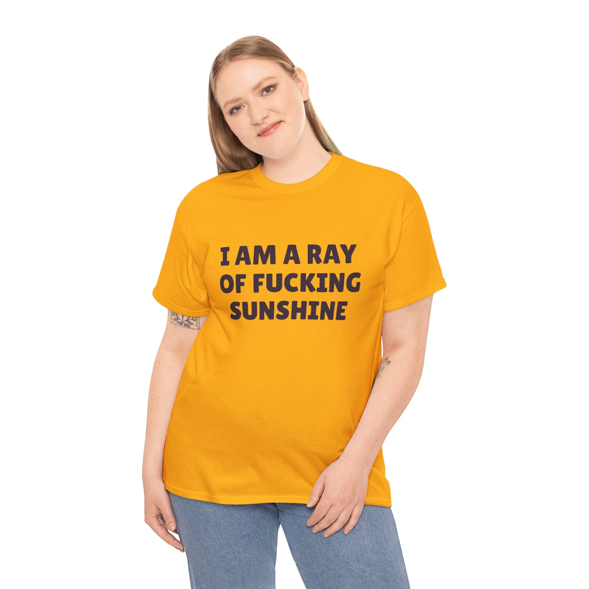 Funny ray of sunshine tee, perfect for BBQs or pub nights