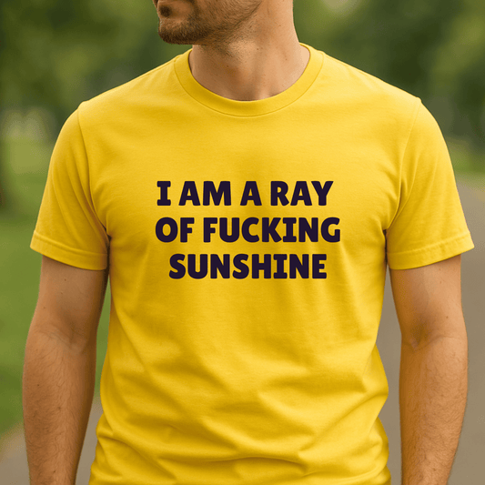Bold graphic t-shirt with I am a ray of sunshine funny slogan