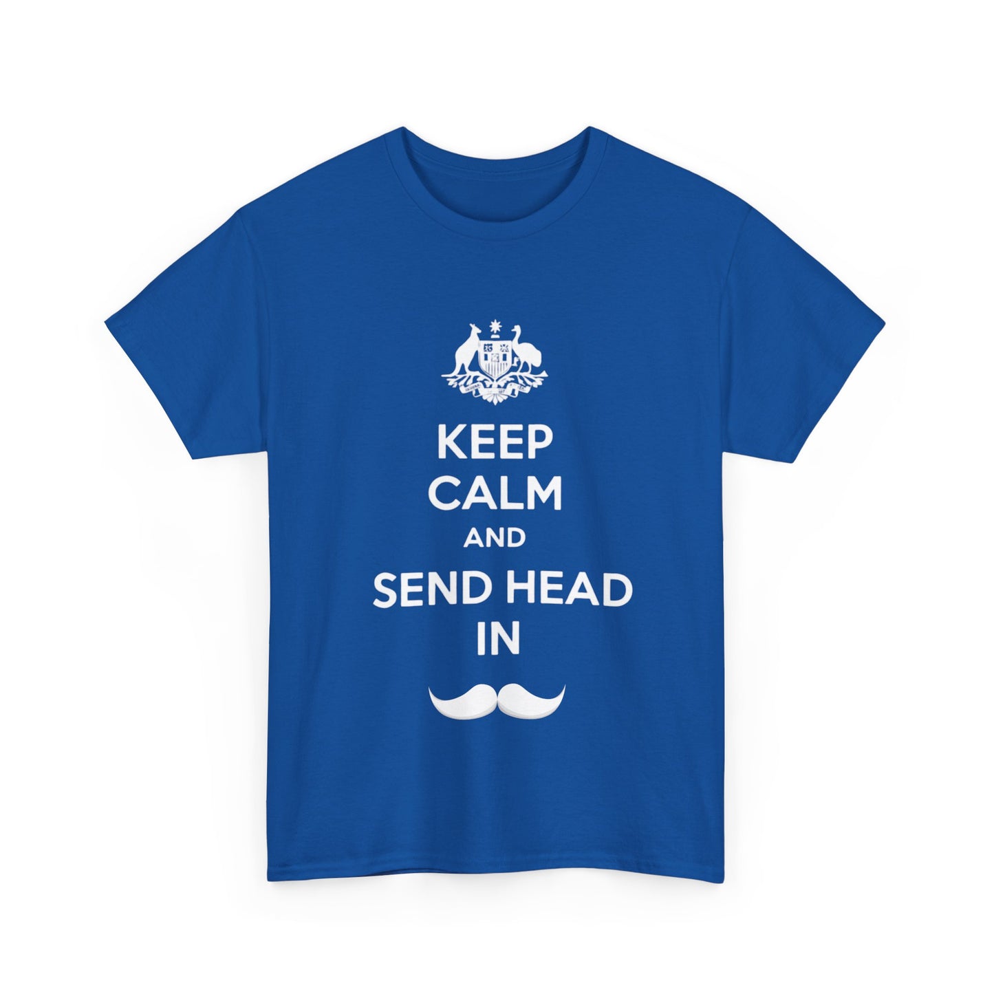 Funny cricket tee with Keep Calm and Send Head In slogan