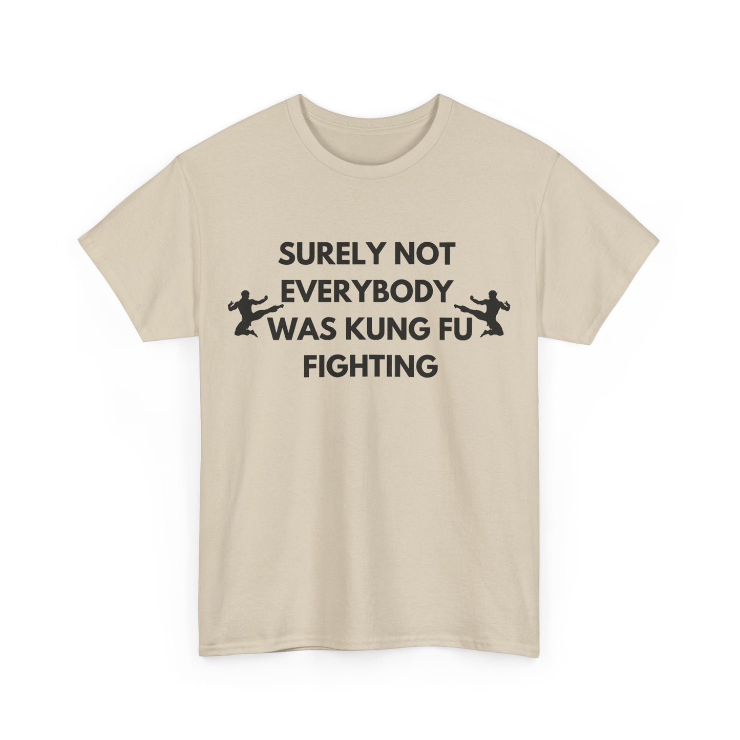 Surely Not Everybody Was Kung Fu Fighting T-Shirt | Funny Music Gift Australia