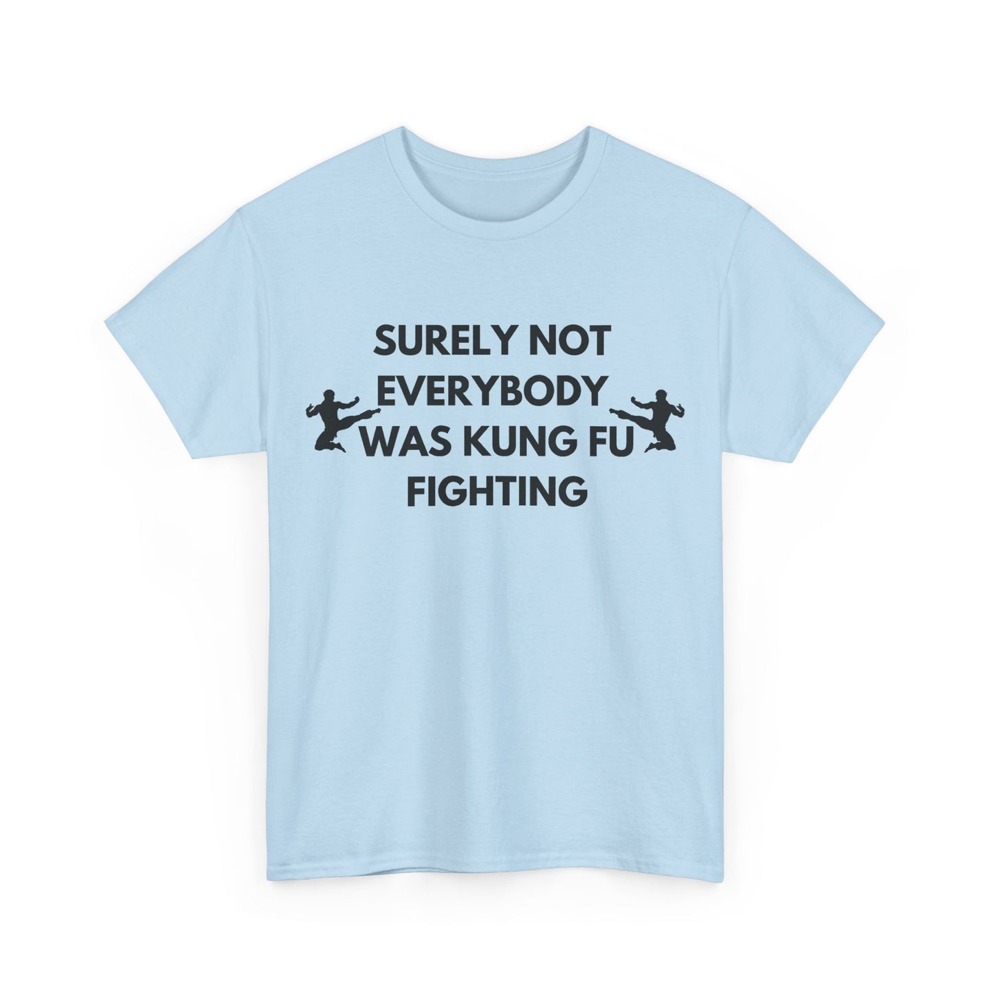 Surely Not Everybody Was Kung Fu Fighting T-Shirt | Funny Music Gift Australia