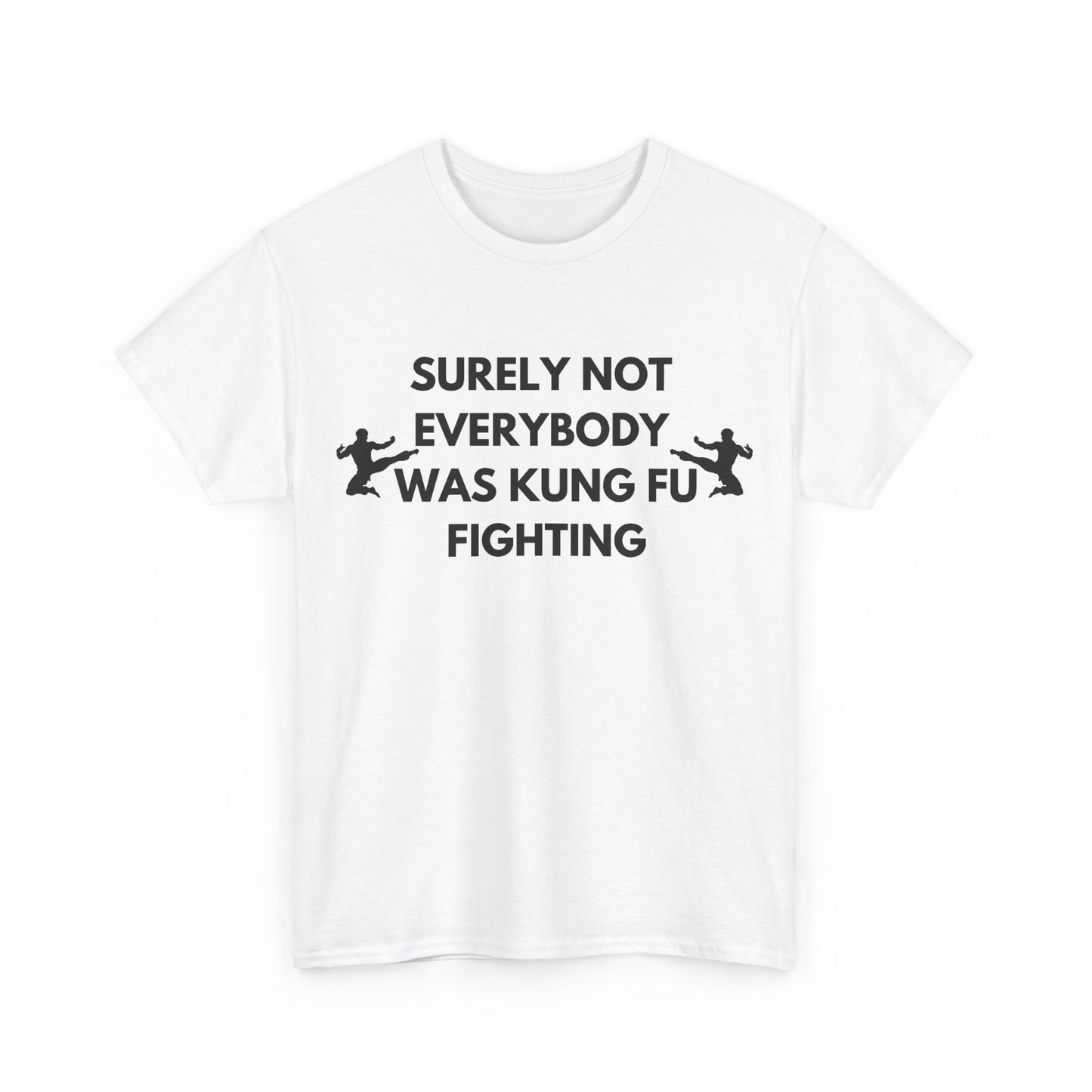 Surely Not Everybody Was Kung Fu Fighting T-Shirt | Funny Music Gift Australia